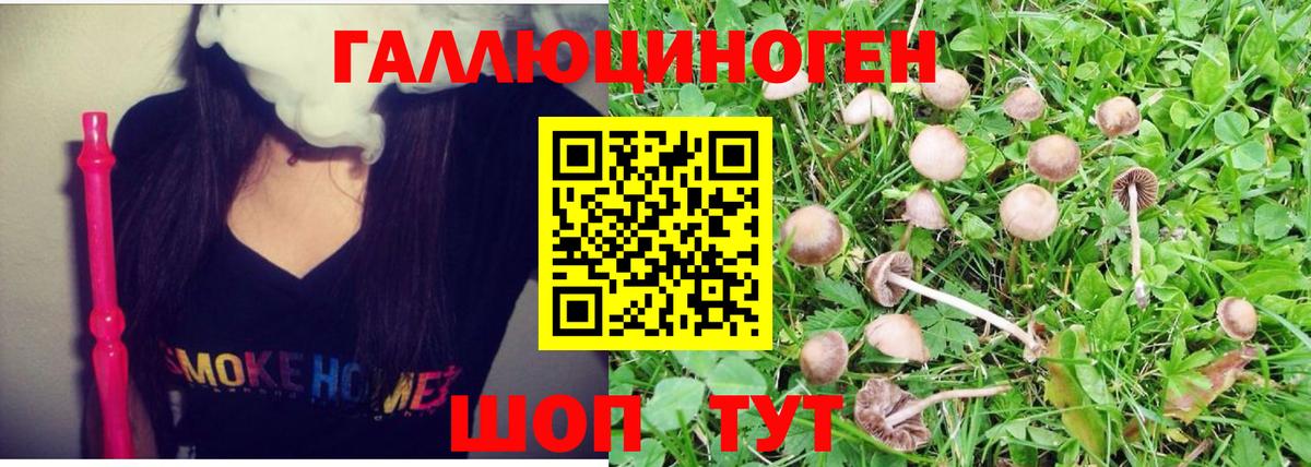 Галлюциногенные грибы MAGIC MUSHROOMS  даркнет сайт  Советский  Вход с VPN 